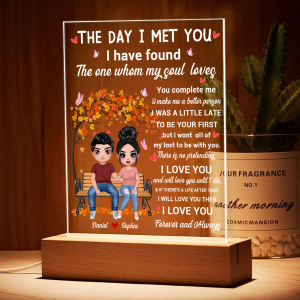 The Day I Met You Couple Personalized Plaque LED Night Light, Acrylic LED Lamp, Valentine‘s Day Gift For Him, For Her