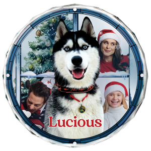 Custom Photo Pet Face Purry And Bright - Personalized Circle Acrylic Ornament